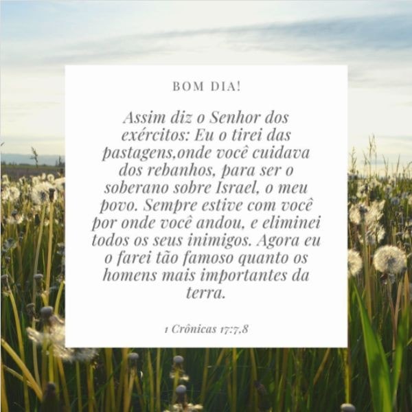 1 Crônicas 17:7-8