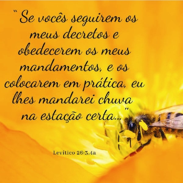 Levítico 26:3