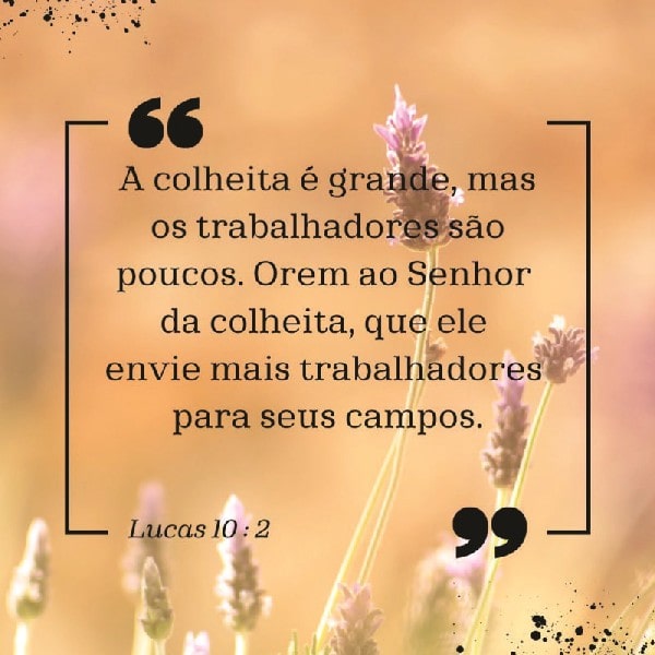 Lucas 10:2