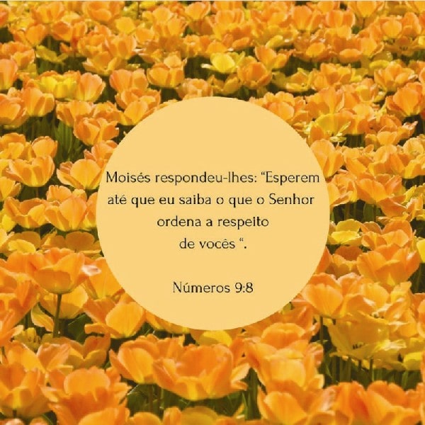 Números 9:8