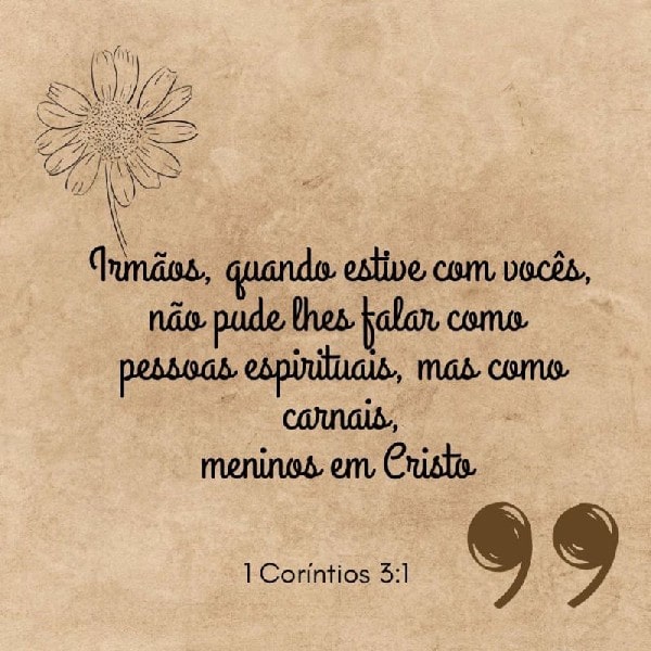 1 Coríntios 3:1