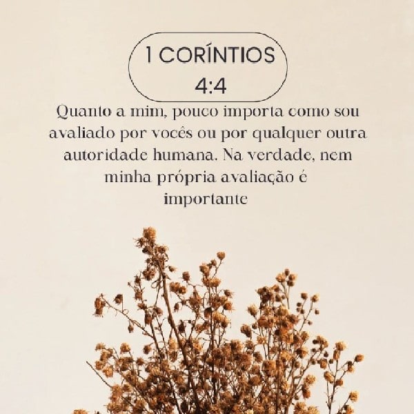 1 Coríntios 4:4