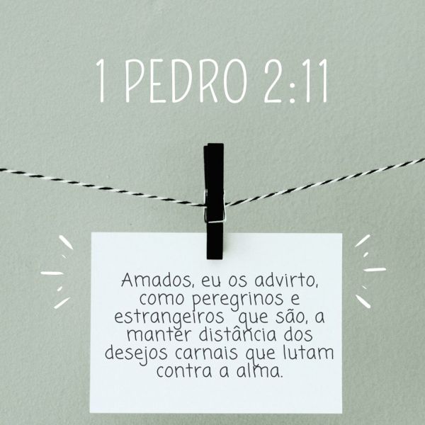 1 Pedro 2:11